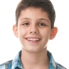 Dental Examinations Image